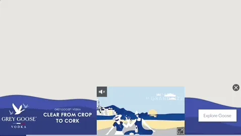 Grey Goose — Ribbon Video — Beer, wine & spirits