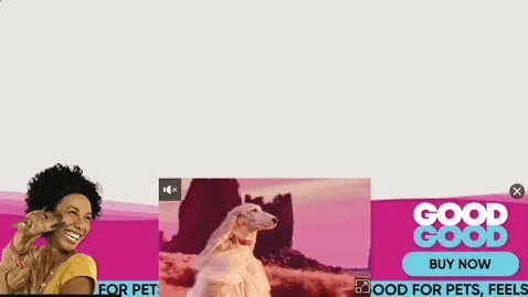 GoodGood — Ribbon Video — Pet food