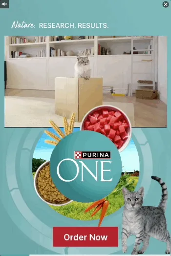 Purina — Motion Video — Pet food