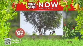 Moon Valley Nurseries — Frame — Gardening