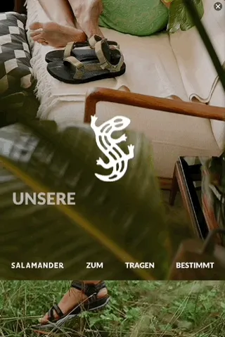 Salamander — Motion Display — Shoes & sneakers
