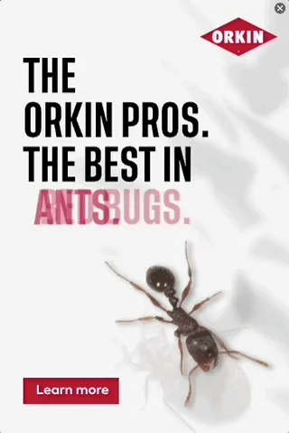 Orkin — Motion Display — Home repair & upkeep
