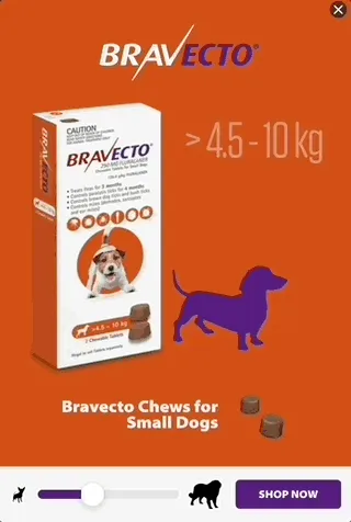 Bravecto — Explorable Display — Pet health & veterinary care