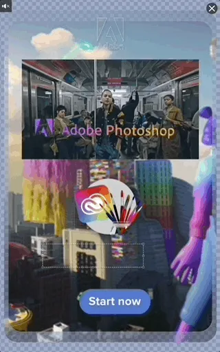 Adobe — Motion Video — Software (consumer & business)