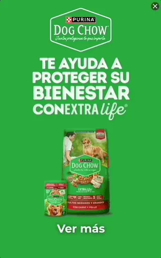 Purina — Motion Display — Pet food
