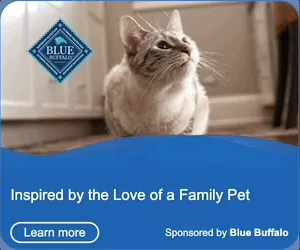 BlueBuffalo — Native Display — Pet food