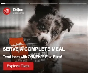 Orijen — Stories — Pet food