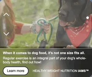 IAMS — Pulse — Pet food