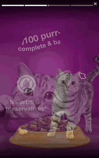 Whiskas — Gallery Display — Pet food