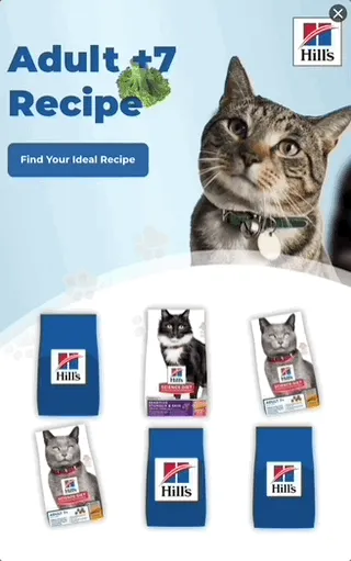 Hills — Gamified Display — Pet food