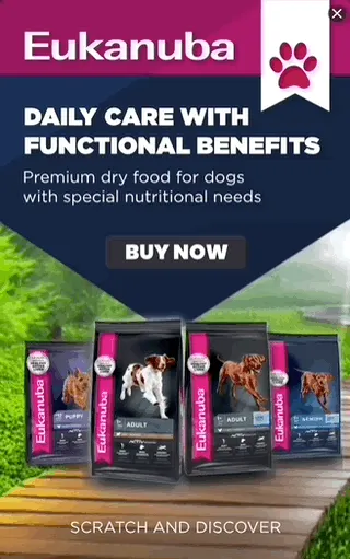 Eukanuba — Gamified Display — Pet food