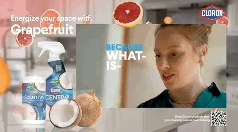 Clorox — Frame — Cleaning products
