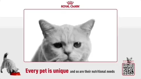 Royal Canin — Frame — Pet food