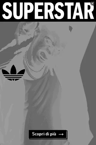 Adidas — Motion Display — Streetwear