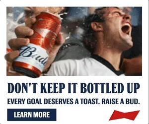 Budweiser — Native Display — Beer, wine & spirits