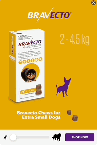 Thumbnail of the creative