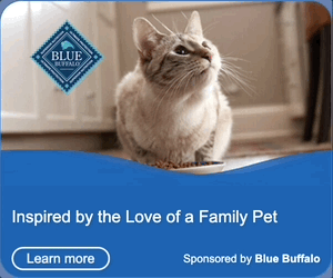 Thumbnail of the creative