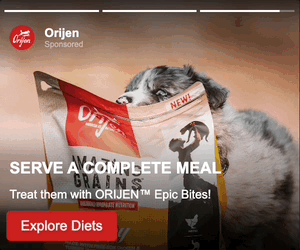 Thumbnail of the creative