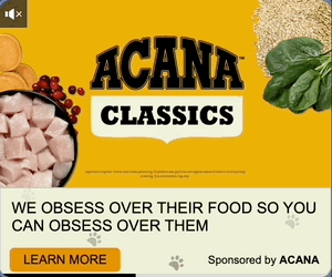 Thumbnail of the creative