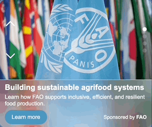 Thumbnail of the creative