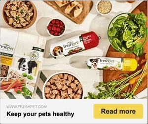 Thumbnail of the creative