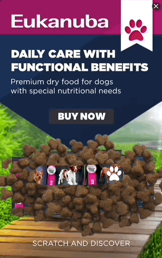 Thumbnail of the creative