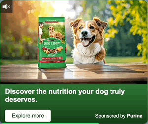 Thumbnail of the creative