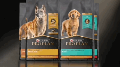 Thumbnail of the creative