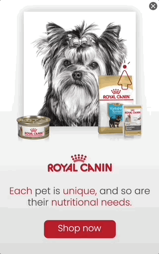 Thumbnail of the creative