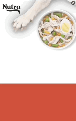 Thumbnail of the creative