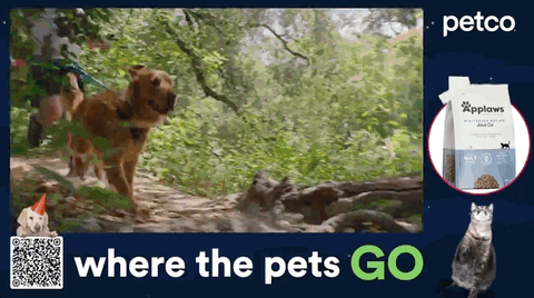 Thumbnail of the creative