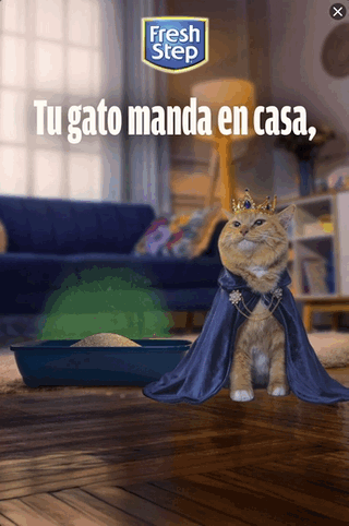 Thumbnail of the creative