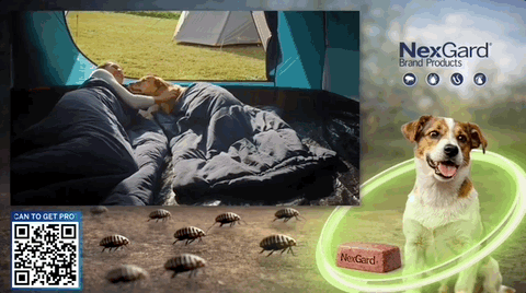 Thumbnail of the creative